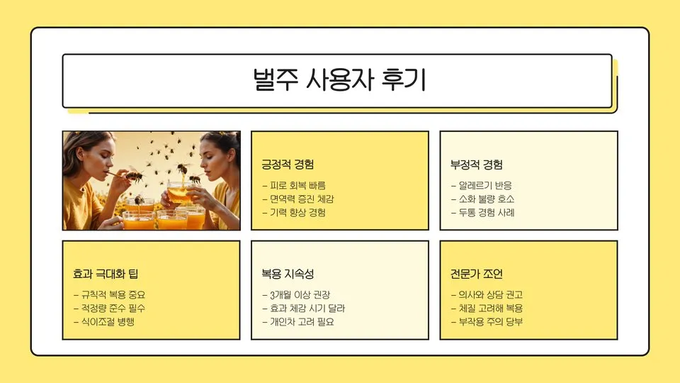 벌주의 효능 이미지 2
