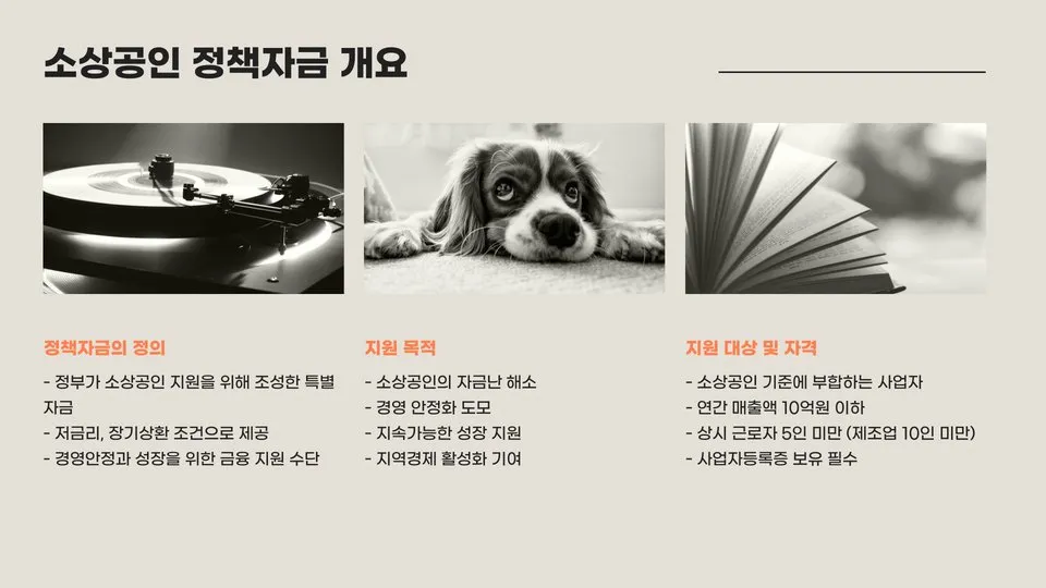 소상공인진흥공단 정책자금 이미지 6
