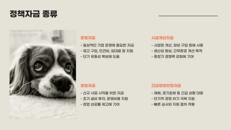 소상공인진흥공단 정책자금 이미지 7