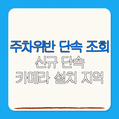 주차위반 단속 조회신규 단속카메라 설치 지역