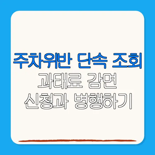 주차위반 단속 조회과태료 감면신청과 병행하기