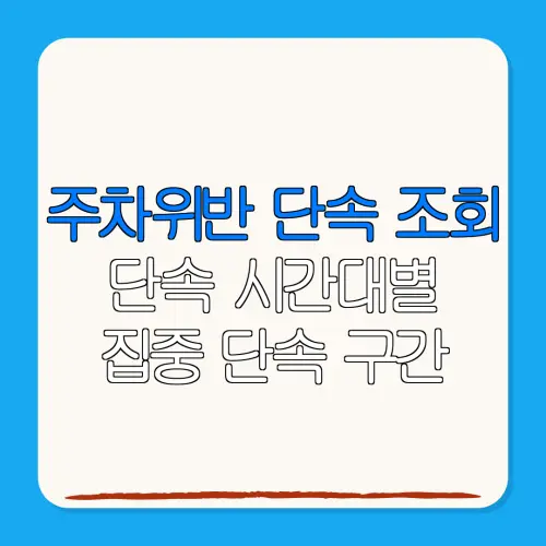 주차위반 단속 조회단속 시간대별집중 단속 구간