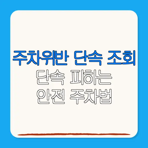 주차위반 단속 조회단속 피하는안전 주차법