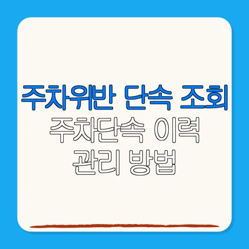 주차위반 단속 조회주차단속 이력관리 방법