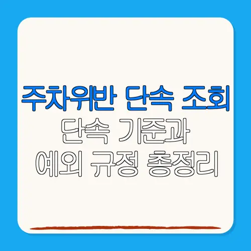 주차위반 단속 조회단속 기준과예외 규정 총정리