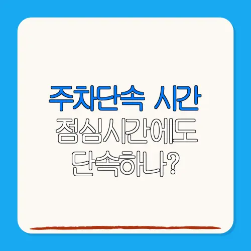 주차단속 시간점심시간에도단속하나?