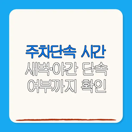 주차단속 시간새벽·야간 단속여부까지 확인