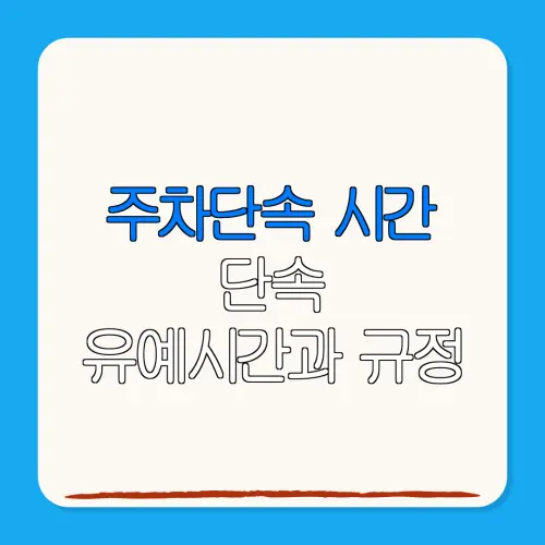 주차단속 시간단속유예시간과 규정