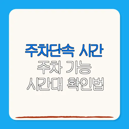 주차단속 시간주차 가능시간대 확인법