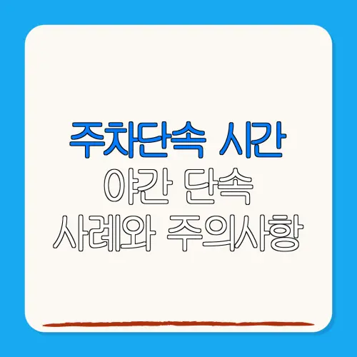주차단속 시간야간 단속사례와 주의사항