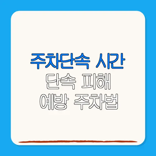 주차단속 시간단속 피해예방 주차법
