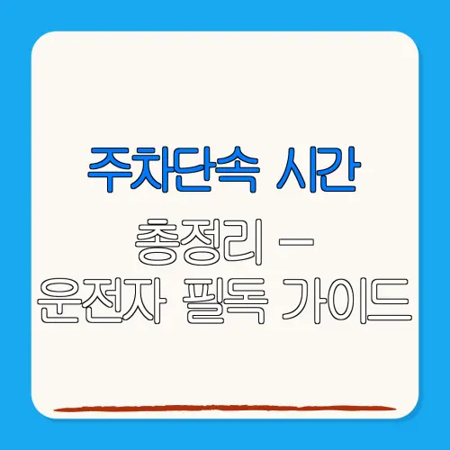 주차단속 시간총정리 –운전자 필독 가이드